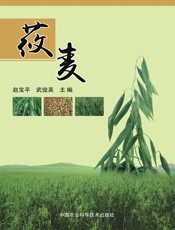 莜麦