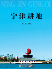 宁津耕地