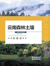 云南森林土壤
