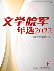 文学皖军年选2022：下