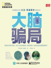 大脑骗局