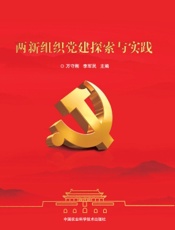 两新组织党建探索与实践