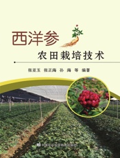 西洋参农田栽培技术