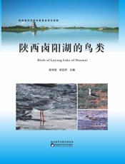 陕西卤阳湖的鸟类