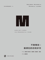 034 不敢懈怠：曼德拉的总统岁月