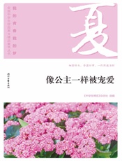 像公主一样被宠爱