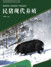民猪现代养殖