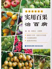 实用百果治百病