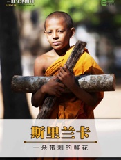 斯里兰卡：一朵带刺的鲜花