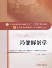 局部解剖学