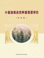 小麦远缘杂交种质资源评价