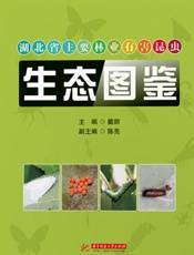 湖北省主要林业有害昆虫生态图鉴