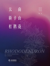 云南轿子山杜鹃花