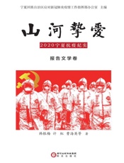 山河挚爱　2020宁夏抗疫纪实·报告文学卷