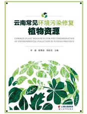 云南常见环境污染修复植物资源