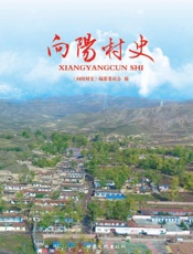 向阳村史