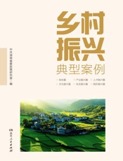 乡村振兴典型案例