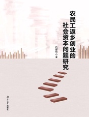 农民工返乡创业的社会资本问题研究