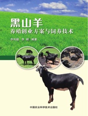 黑山羊养殖创业方案与饲养技术