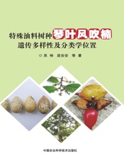 特殊油料树种琴叶风吹楠遗传多样性及分类学位置