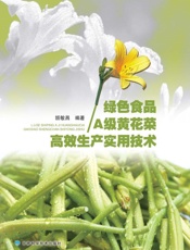 绿色食品A级黄花菜高效生产实用技术