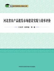 河北省农产品批发市场建设实践与效率评价