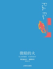 微暗的火