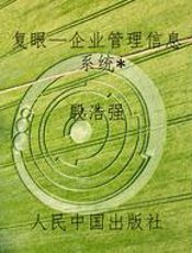复眼—企业管理信息系统