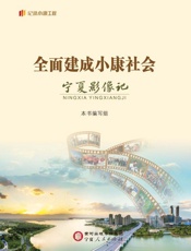 全面建成小康社会宁夏影像记