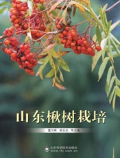 山东楸树栽培