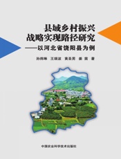 县域乡村振兴战略实现路径研究——以河北省饶阳县为例