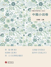 中国文学佳作选：中篇小说卷（2022）