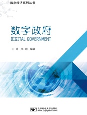数字政府