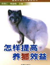 怎样提高养狐效益