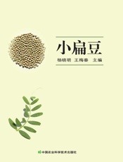 小扁豆