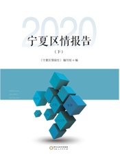宁夏区情报告（2020　下）