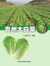 贵州大白菜