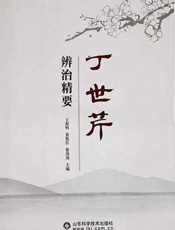 丁世芹辨治精要