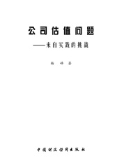 公司估值问题_来自实践的挑战