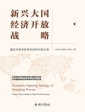 新兴大国经济开放战略：建设开放型世界经济的中国方案