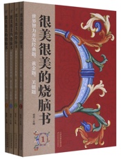 很美很美的烧脑书：世界智力开发经典题、黄金题、关键题（全4册）