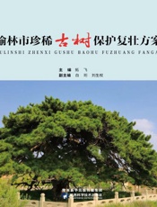 榆林市珍惜古树保护复壮方案