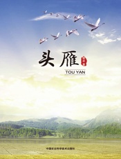 头雁