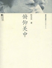 俯仰关中