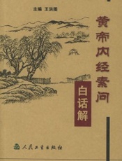 黄帝内经素问白话解 - 王洪图