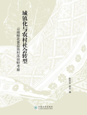 城镇化与农村社会转型 云南柿花箐苗族村落田野考察