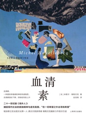 血清素（维勒贝克作品系列）