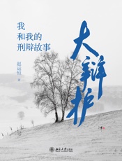 大辩护：我和我的刑辩故事