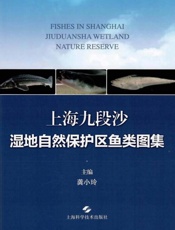 上海九段沙湿地自然保护区鱼类图集