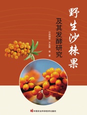 野生沙棘果及其发酵研究